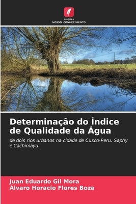 Determinação do Índice de Qualidade da Água by Gil Mora, Juan Eduardo