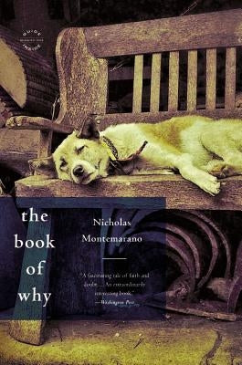 The Book of Why by Montemarano, Nicholas
