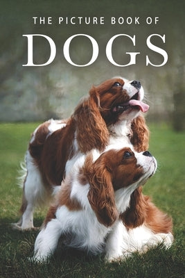 The Picture Book of Dogs: A Gift Book for Alzheimer's Patients and Seniors with Dementia by Books, Sunny Street