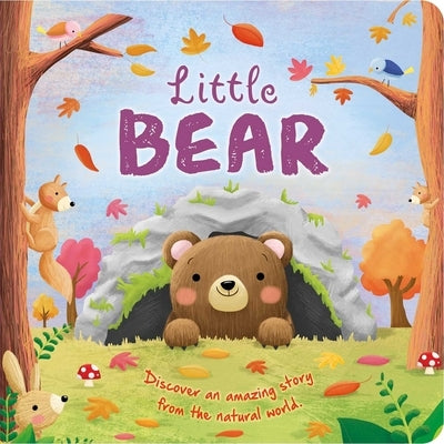 Nature Stories: Little Bear: Padded Board Book by Igloobooks
