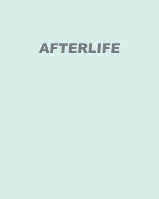 Afterlife by Rubsamen, Glen