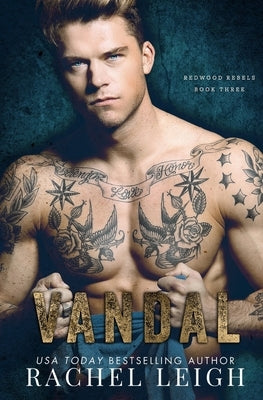 Vandal: A Dark Bully Romance by Leigh, Rachel