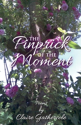The Pinprick of the Moment by Gathercole, Claire