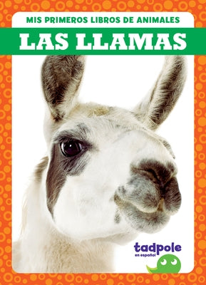 Las Llamas (Llamas) by Brandle, Marie