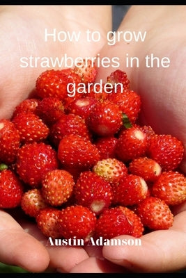How to grow strawberries in the garden by Adamson, Austin