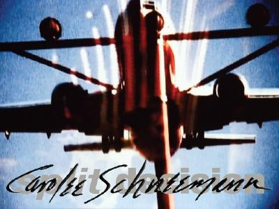 Carolee Schneemann: Split Decision by Schneemann, Carolee