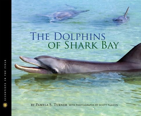 The Dolphins of Shark Bay by Turner, Pamela S.