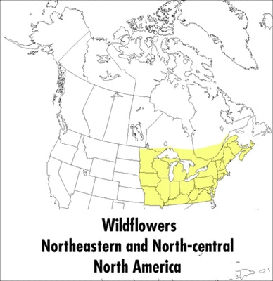 A Peterson Field Guide to Wildflowers: Northeastern and North-Central North America by McKenny, Margaret