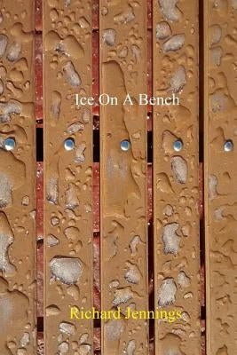 Ice on a Bench by Jennings Jr, Richard