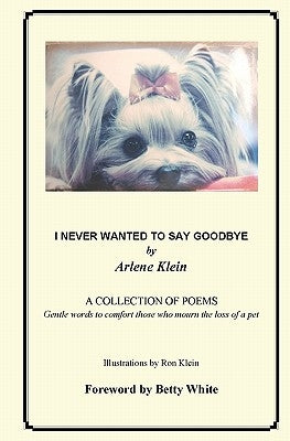 I Never Wanted To Say Goodbye by Klein, Arlene