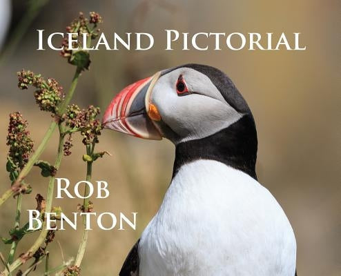 Iceland Pictorial by Benton, Rob