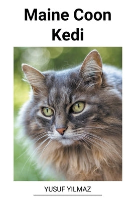 Maine Coon Kedi by Yilmaz, Yusuf
