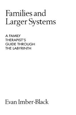 Families and Larger Systems: A Family Therapist's Guide Through the Labyrinth by Imber-Black, Evan