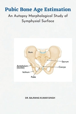 Pubic Bone Age Estimation An Autopsy Morphological Study of Symphysial Surface by Singh, Bajrang Kumar