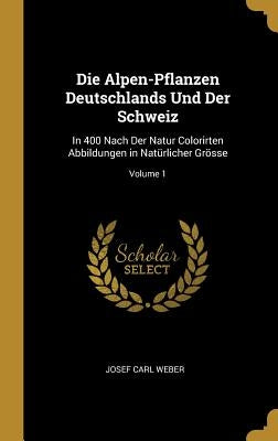 Die Alpen-Pflanzen Deutschlands Und Der Schweiz: In 400 Nach Der Natur Colorirten Abbildungen in Natürlicher Grösse; Volume 1 by Weber, Josef Carl