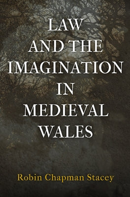 Law and the Imagination in Medieval Wales by Stacey, Robin Chapman