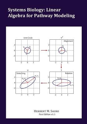 Systems Biology: Linear Algebra for Pathway Modeling by Sauro, Herbert M.