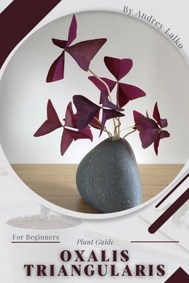 Oxalis triangularis: Plant Guide by Lalko, Andrey