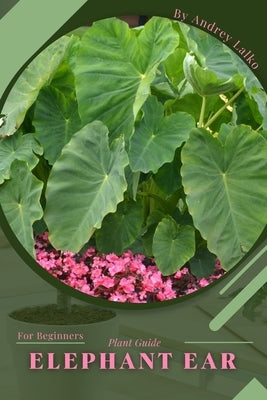 Elephant Ear: Plant Guide by Lalko, Andrey