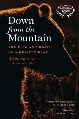 Down from the Mountain: The Life and Death of a Grizzly Bear by Andrews, Bryce