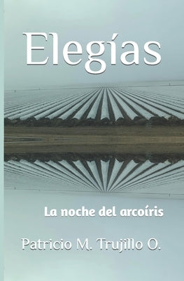 Elegías: La noche del arcoíris by Trujillo O., Patricio M.