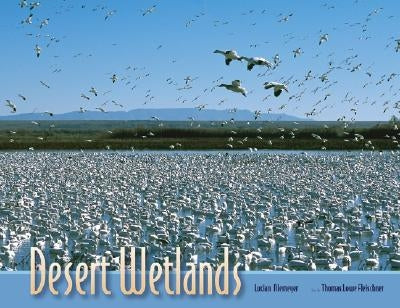 Desert Wetlands by Niemeyer, Lucian