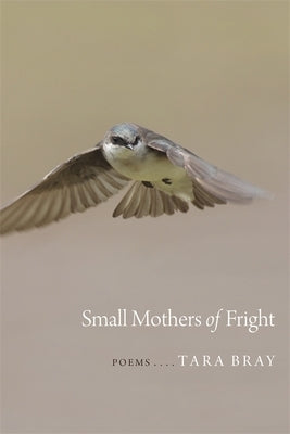 Small Mothers of Fright: Poems by Bray, Tara