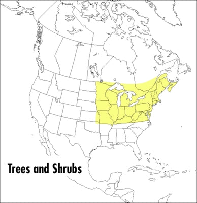 A Field Guide to Trees and Shrubs: Northeastern and North-Central United States and Southeastern and South-Central Canada by Peterson, Roger Tory