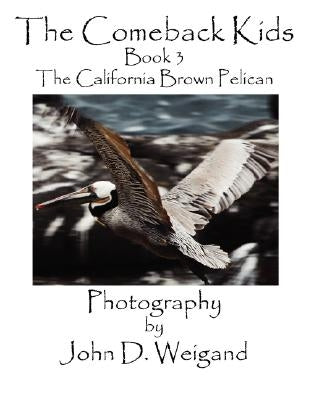 The Comeback Kids, Book 3, the California Brown Pelican by Dyan, Penelope