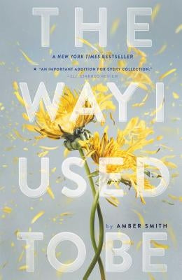 The Way I Used to Be by Smith, Amber