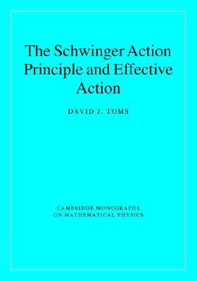 The Schwinger Action Principle and Effective Action by Toms, David J.
