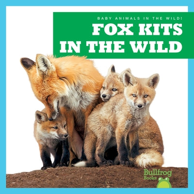Fox Kits in the Wild by Chanez, Katie