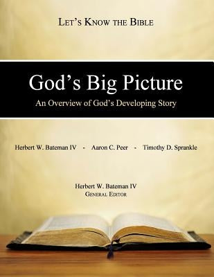 God's Big Picture: An Overview of God's Developing Story by Peer, Aaron C.