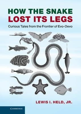 How the Snake Lost Its Legs: Curious Tales from the Frontier of Evo-Devo by Held, Lewis I., Jr.