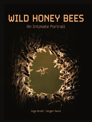 Wild Honey Bees: An Intimate Portrait by Arndt, Ingo