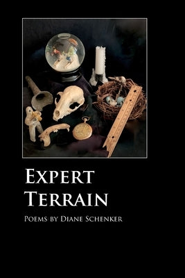Expert Terrain by Schenker, Diane