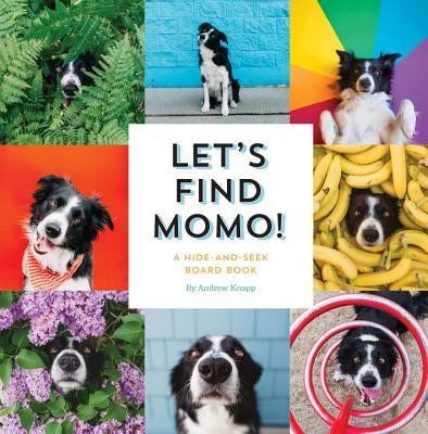 Let's Find Momo!: A Hide-And-Seek Board Book by Knapp, Andrew