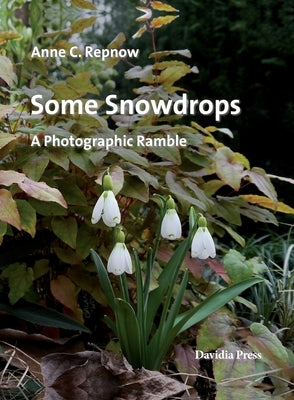 Some Snowdrops - A Photographic Ramble by Repnow, Anne C.