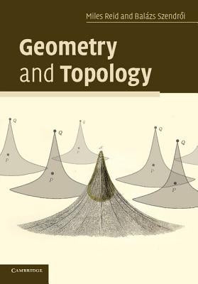 Geometry and Topology by Reid, Miles