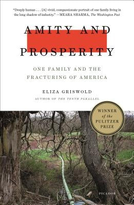 Amity and Prosperity: One Family and the Fracturing of America by Griswold, Eliza