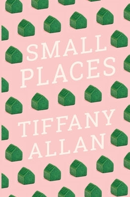 Small Places by Allan, Tiffany