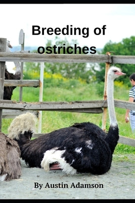 breeding of ostriches by Adamson, Austin