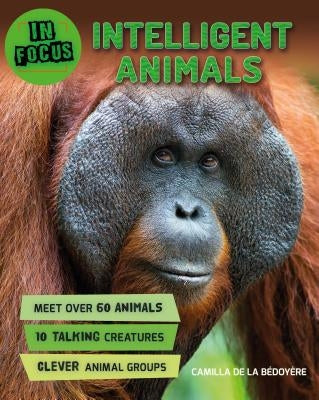 In Focus: Intelligent Animals by De La Bedoyere, Camilla