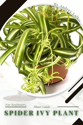 Spider Ivy Plant: Plant Guide by Lalko, Andrey