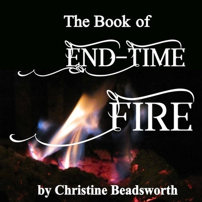 The Book of End-Time Fire by Beadsworth, Christine