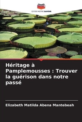 Héritage à Pamplemousses: Trouver la guérison dans notre passé by Mantebeah, Elizabeth Matilda Abena