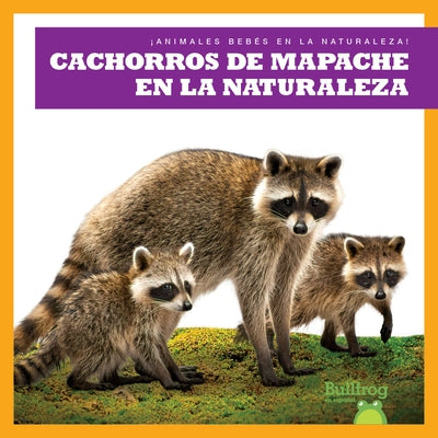 Cachorros de Mapache En La Naturaleza (Raccoon Cubs in the Wild) by Chanez, Katie