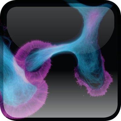 The Neuron: Cell and Molecular Biology by Levitan, Irwin B.