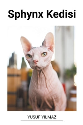 Sphynx Kedisi by Yilmaz, Yusuf