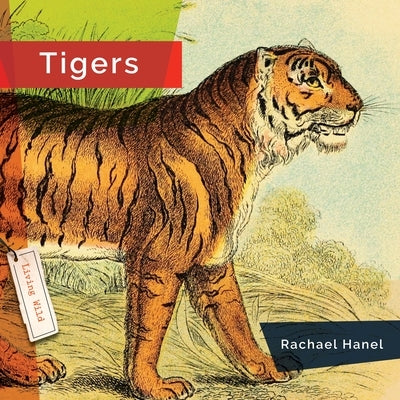 Tigers by Hanel, Rachael